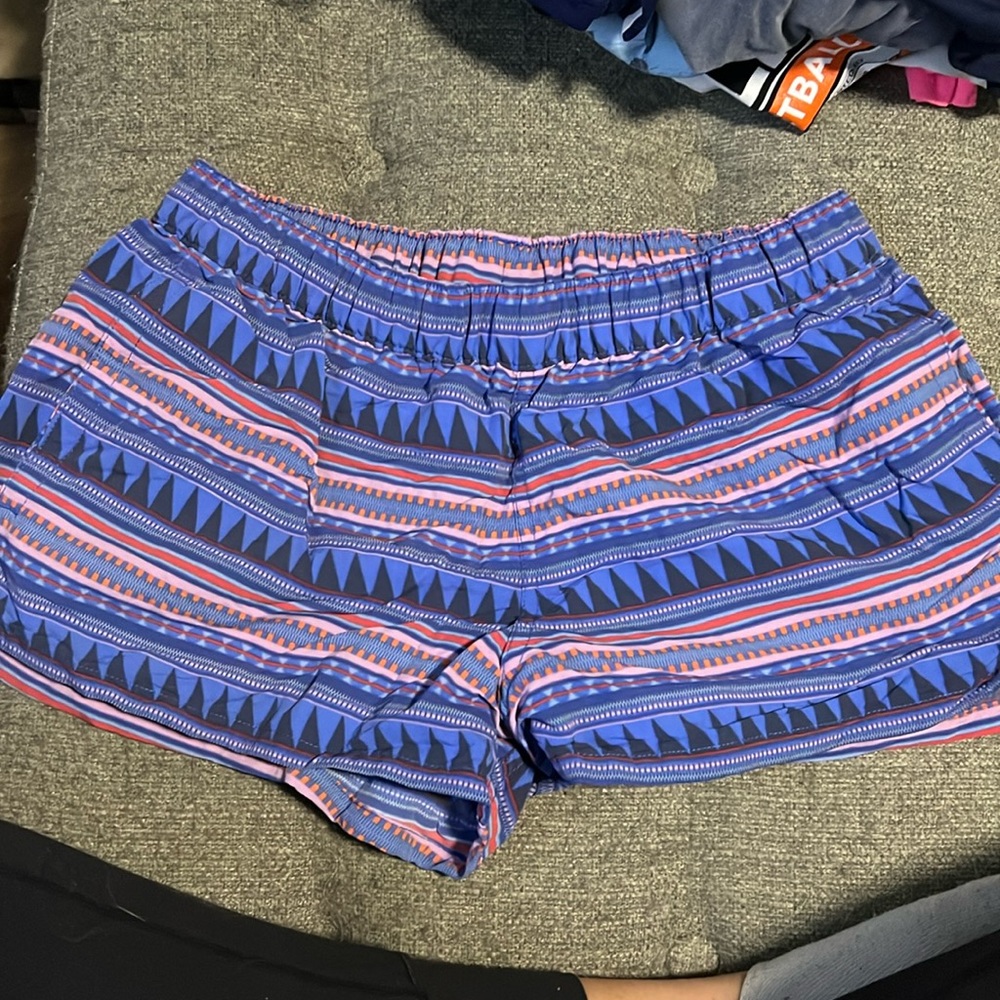Patagonia Baggie Shorts